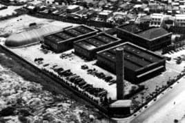 1954